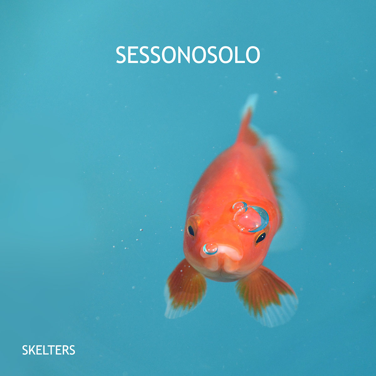 “Sessonosolo”: il singolo che anticipa il sesto album degli Skelters