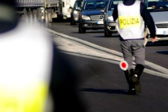 Napoli, cavallo al galoppo in Tangenziale