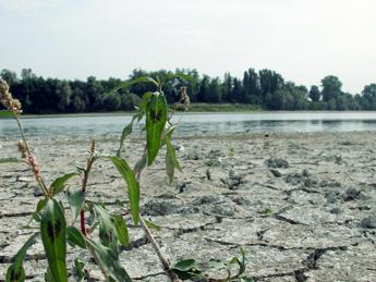 Giornata mondiale Ambiente, 28% Italia a rischio desertificazione: l’allarme