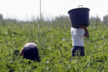 “Operai minacciati e paga da fame”, 8 misure cautelari a Caltanissetta