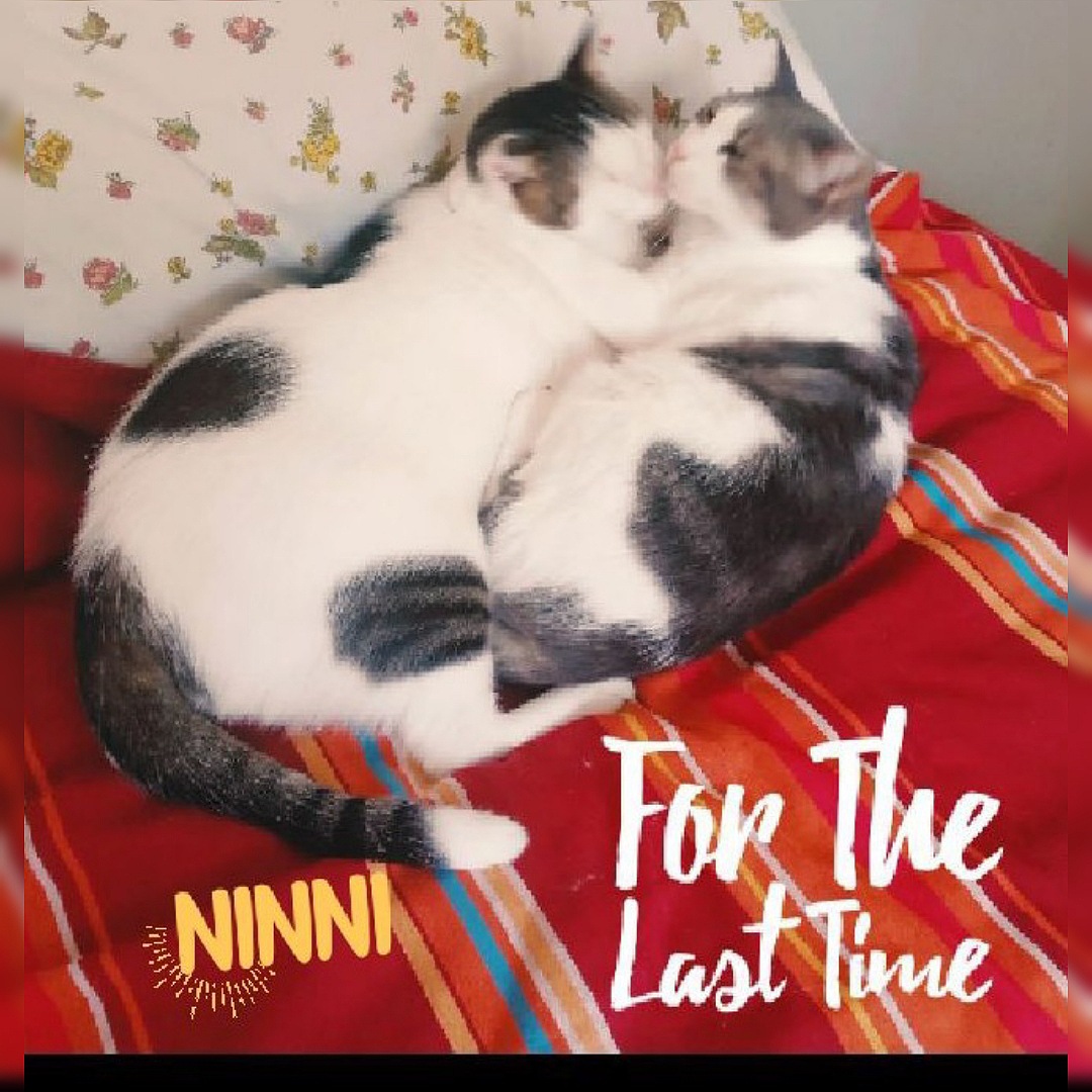 “For the last time” è il nuovo singolo di Ninni