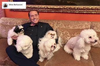 Berlusconi, che fine ha fatto Dudù?