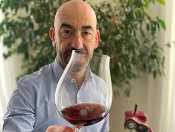 Vino nuoce alla salute? Cosa dicono gli esperti