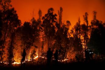 Cile, maxi incendi nei boschi: almeno 23 morti