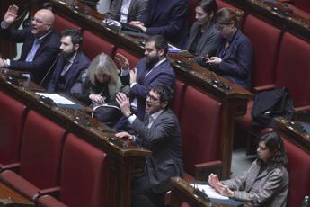 Cospito, bagarre in Aula alla Camera: cosa è successo