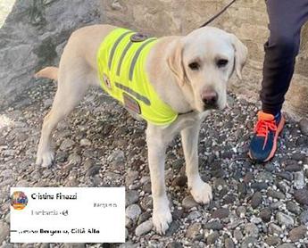 Bergamo, niente funicolare per cane di bimbo autistico: gente insorge
