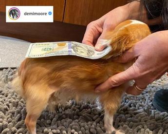 Demi Moore ‘candida’ il suo Chihuahua al Guinness dei Primati – Foto