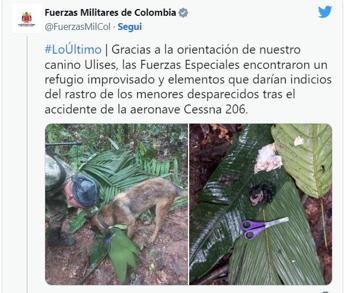 Colombia, 4 bambini ritrovati vivi nella foresta a 17 giorni da incidente aereo