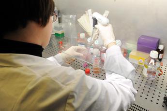 Alzheimer, vaccino allo studio: positivi i test sui topi