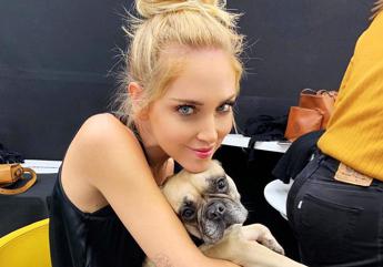 Chiara Ferragni, morta la cagnolina Matilda. Fedez: “Ci manchi già”