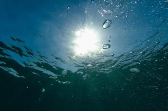 Oceano caldo come mai, toccati i 38,4 gradi vicino alla Florida