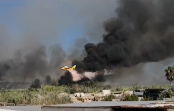 Salento, incendio sul litorale di Ugento: turisti in fuga dalle spiagge – Video