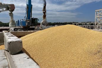 Ucraina: “Accordo con Croazia per export grano”