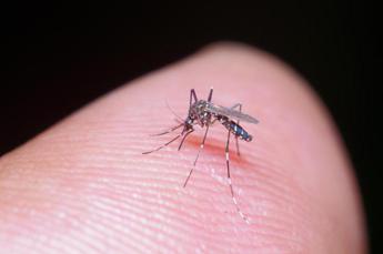 Dengue in Lombardia, due nuovi casi