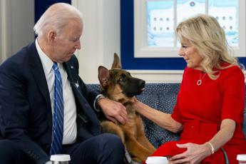 Casa Bianca, il cane di Joe Biden ‘cacciato’: troppi morsi