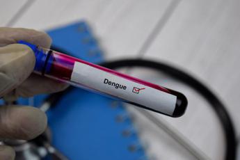 Dengue in Italia, 288 casi da inizio anno