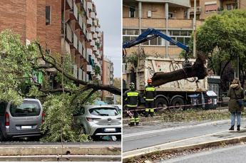 Bomba d’acqua su Roma, cade un albero e stop al tram 8