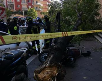 Uccisa da albero caduto a Roma, il legale: “Il Comune è civilmente responsabile”