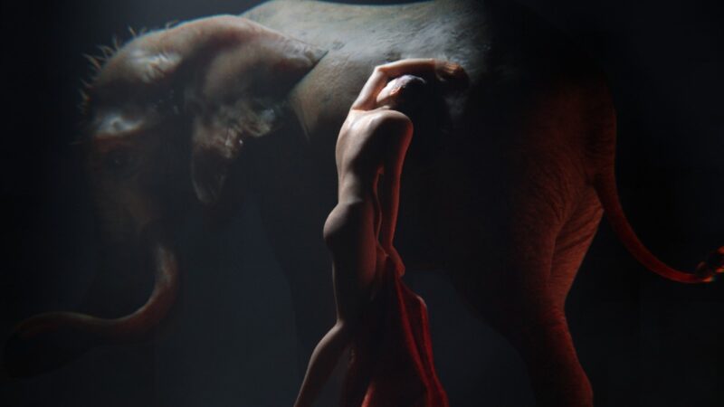 Il nuovo album di Gintsugi: The Elephant in the Room