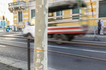 Cavo acciaio teso in strada a Milano, fermato complice: si cerca terza persona