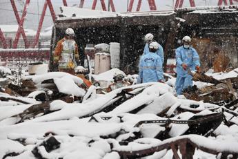 Terremoto in Giappone, bilancio morti sale a 161