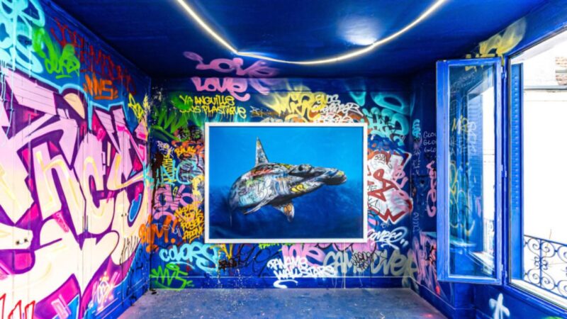 “Colors Festival 2024”: una grande mostra di street art trasforma un edificio abbandonato