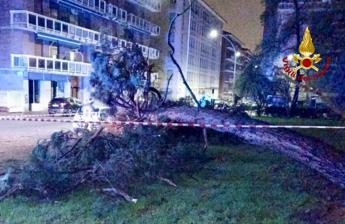 Maltempo nel biellese, alberi caduti e allagamenti