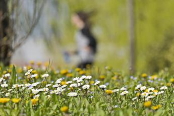 Arriva Narciso, l’Anticiclone che piace: temperature estive anche al Nord