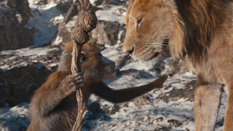“Mufasa: Il Re Leone” – il primo trailer del film Disney
