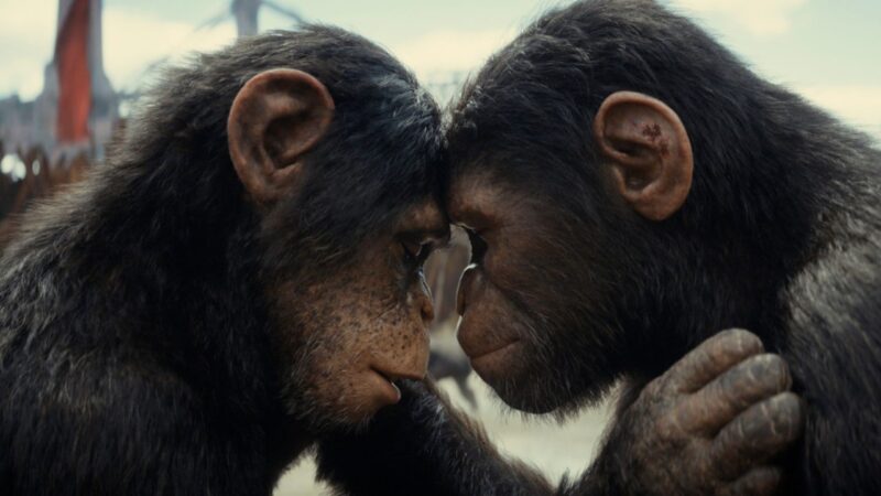 “Il Regno del Pianeta delle Scimmie”: un film avvincente sotto tutti i punti di vista