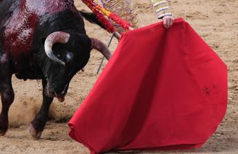 Il toro incorna il toreador, paura alla corrida – Video