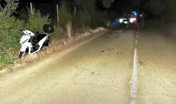 Si schianta in scooter contro un cervo, turista milanese muore nel Cagliaritano
