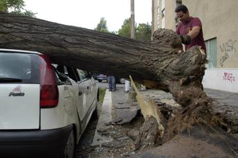 Alberi caduti a Roma, almeno due indagati tra dirigenti Comune