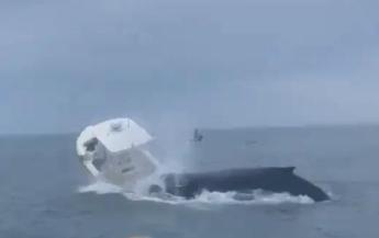 Balena attacca barca di pescatori, due volano in mare – Video