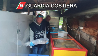 Cortina, pesce scaduto nei ristoranti dei vip: sequestro da 1,4 tonnellate