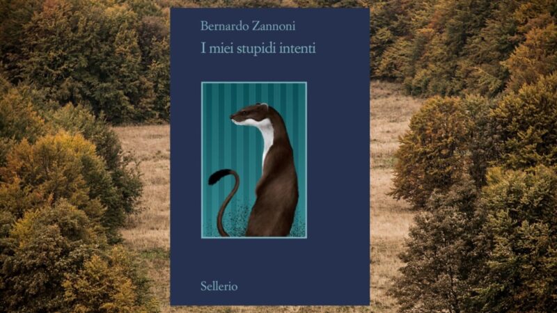 “I miei stupidi intenti” di Bernardo Zannoni