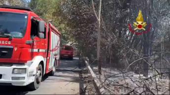 Roma, vasto incendio di sterpaglie a Castelnuovo di Porto: evacuate abitazioni