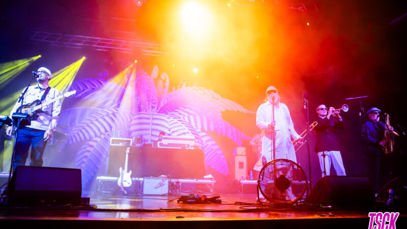 Fat Freddy’s Drop – Alcatraz, Milano – 20 novembre 2024